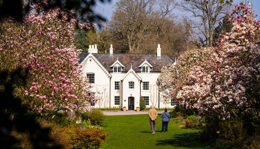 Magnolia Avenue Sir Harold Hillier Gardens